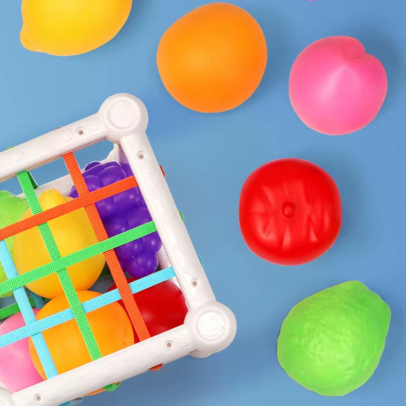 Spielzeugbox: Fördert Feinmotorik, Neugier und sensorische Wahrnehmung – spielerisch und unterhaltsam