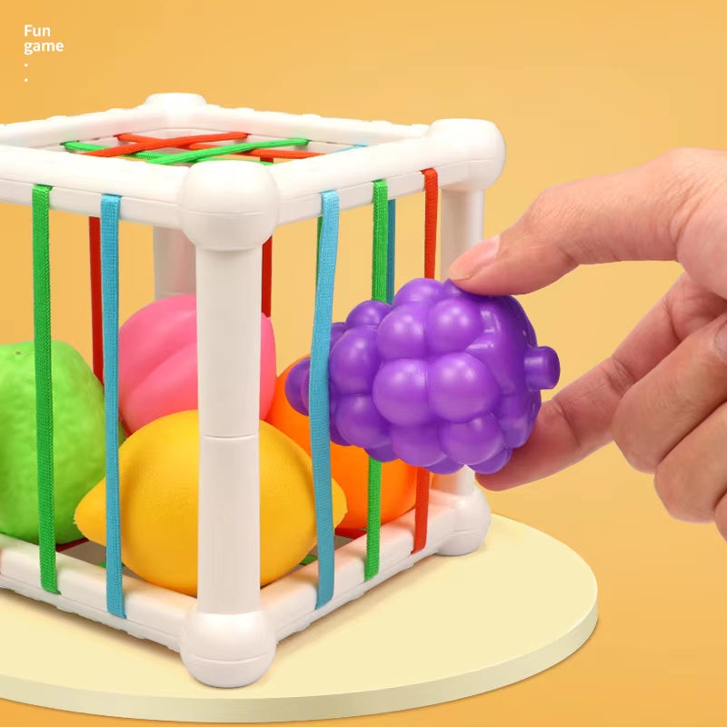 Spielzeugbox: Fördert Feinmotorik, Neugier und sensorische Wahrnehmung – spielerisch und unterhaltsam