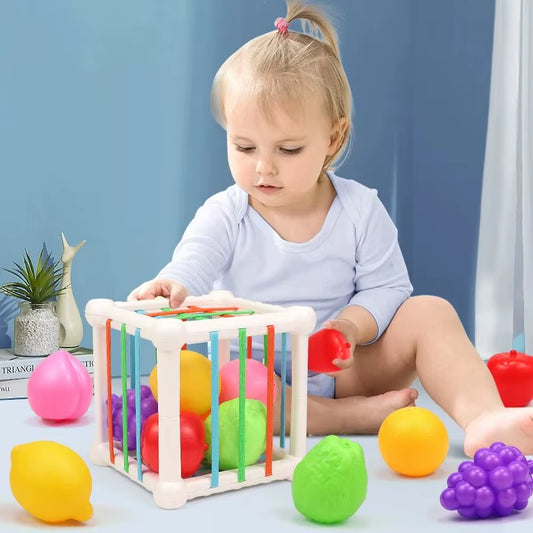 Spielzeugbox: Fördert Feinmotorik, Neugier und sensorische Wahrnehmung – spielerisch und unterhaltsam